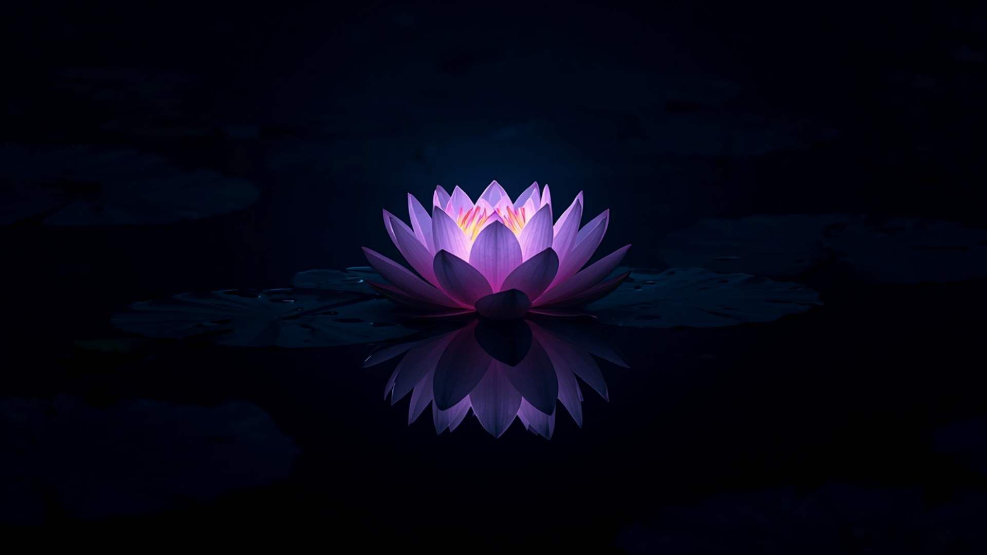 lotus light source with lake reflection amoled